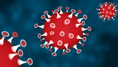 pixabay.com, фото - Новости Zakon.kz от 15.06.2020 16:37