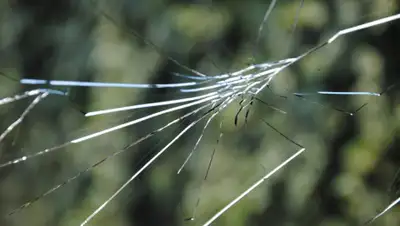 publicdomainpictures.net, фото - Новости Zakon.kz от 09.10.2019 10:12