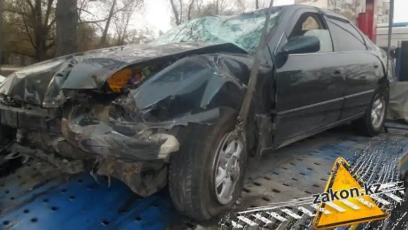 В Алматы Toyota снесла дерево и ограждение