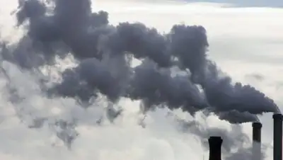 Zakon.kz, фото - Новости Zakon.kz от 01.06.2016 23:01