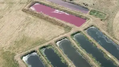 кадр из видео, фото - Новости Zakon.kz от 15.07.2020 16:21