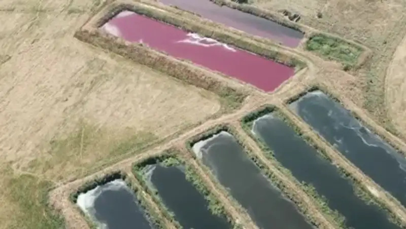Зловоние в районе ЖК "Асыл Арман" прокомментировали в акимате Алматинской области