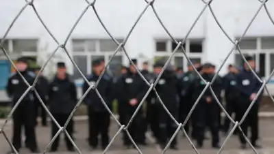 7info.ru, фото - Новости Zakon.kz от 08.04.2019 18:04