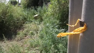 uralskweek.kz, фото - Новости Zakon.kz от 30.07.2018 22:43