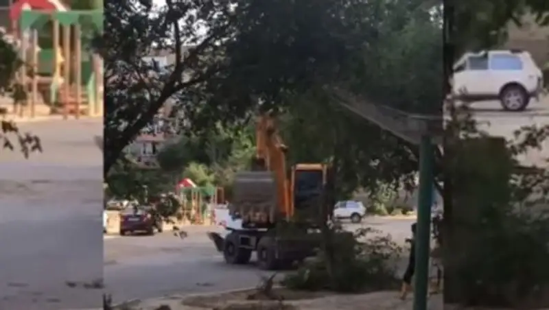 В Актау деревья ломают экскаватором