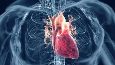 Zakon.kz, фото - Новости Zakon.kz от 26.03.2015 18:47