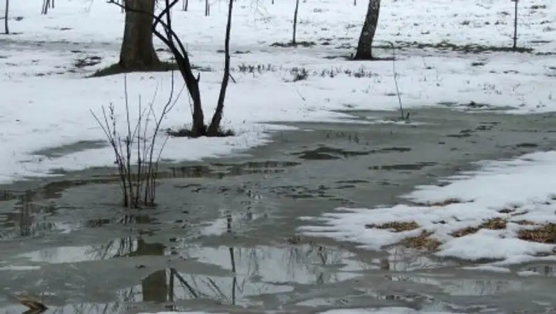 Неустойчивая погода ожидается в Казахстане 16 марта