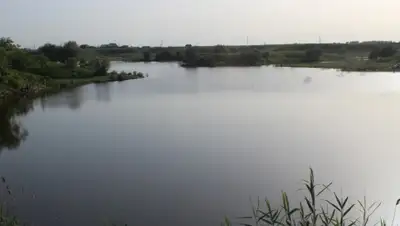 Zakon.kz, фото - Новости Zakon.kz от 03.05.2016 16:17