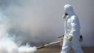 zakon.kz., фото - Новости Zakon.kz от 08.01.2021 08:24