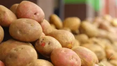 agroinvestor.ru, фото - Новости Zakon.kz от 20.04.2021 11:35