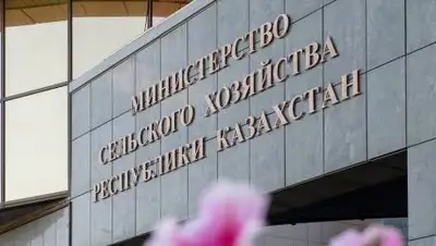 inbusiness.kz, фото - Новости Zakon.kz от 15.06.2021 11:29