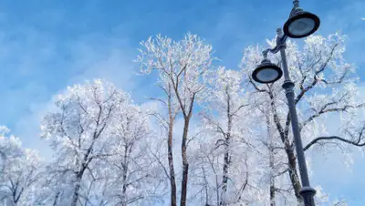 riafan.ru, фото - Новости Zakon.kz от 19.11.2019 14:43