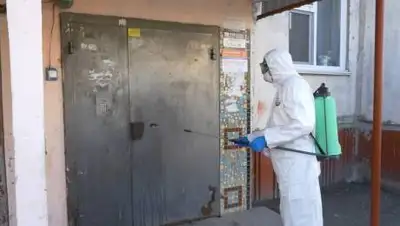 barnaul.org, фото - Новости Zakon.kz от 28.02.2021 18:01