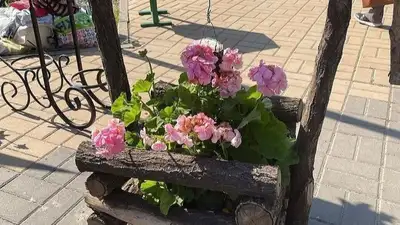 В Актобе прошел фестиваль цветов "Гүлдер әлемі", фото - Новости Zakon.kz от 25.09.2023 13:20