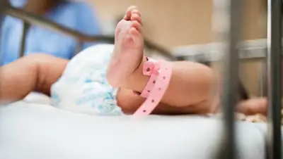 24tv.ua, фото - Новости Zakon.kz от 22.07.2020 15:54