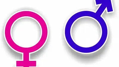 Zakon.kz, фото - Новости Zakon.kz от 08.11.2017 18:33