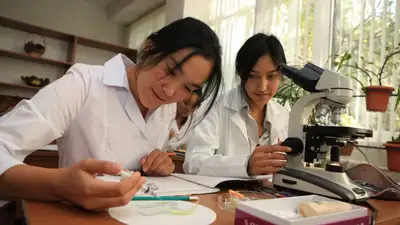 В Казахстане обновили критерии оценка знаний учащихся школ и колледжей, фото - Новости Zakon.kz от 21.08.2023 14:53
