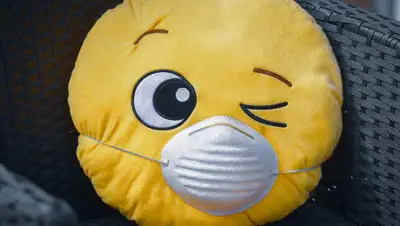 Pixabay, фото - Новости Zakon.kz от 07.09.2020 11:35