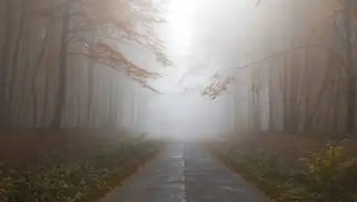 pixabay.com, фото - Новости Zakon.kz от 12.10.2021 16:17