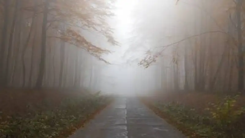 Осадки, сильный ветер и туман - погода в Казахстане на 13 октября