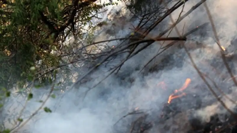 Два казахстанских вертолета задействованы для тушения пожара в кыргызском Чычкане