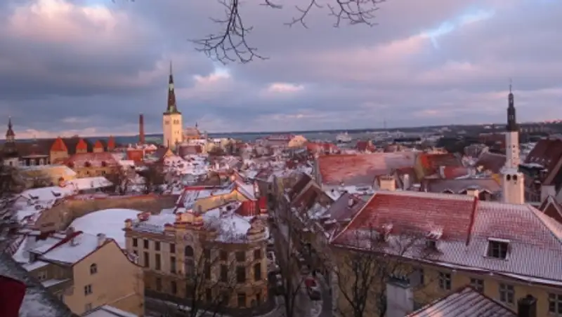 Президент Эстонии уверен, что государство справится с приемом беженцев