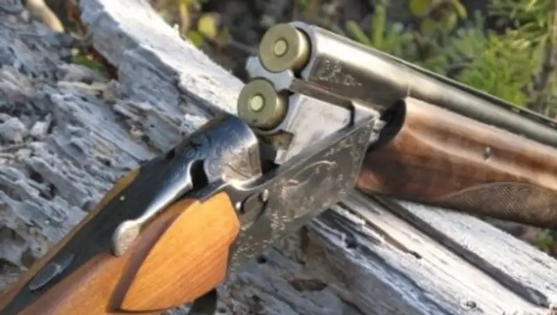 Более 20 единиц «огнестрела» изъято за 3 дня в Жамбылской области