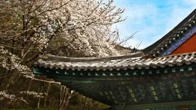 Zakon.kz, фото - Новости Zakon.kz от 12.04.2016 15:47