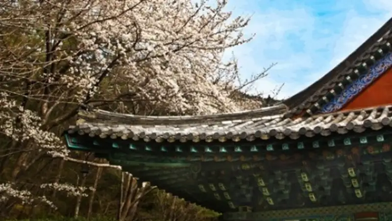 Казахстанский МИД напомнил своим гражданам о правилах посещения Республики Корея