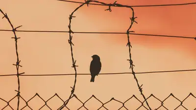 Ломали челюсть и ребра: актюбинец два года пробыл в рабстве, фото - Новости Zakon.kz от 16.05.2023 14:52