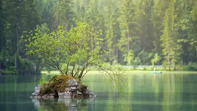 pixabay.com, фото - Новости Zakon.kz от 08.08.2019 01:53