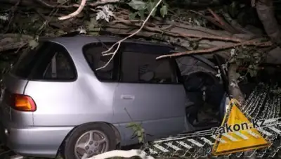 Zakon.kz, фото - Новости Zakon.kz от 13.06.2018 00:04