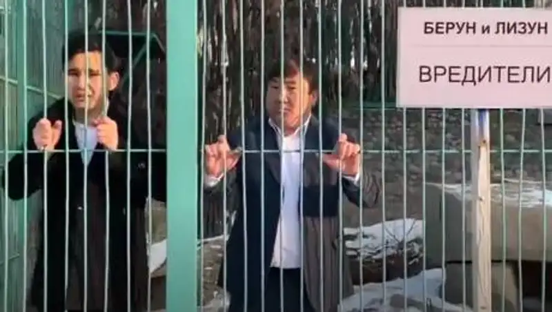 Новый ролик о "лизунах" сняли в Антикоре