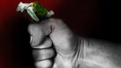 Pixabay, фото - Новости Zakon.kz от 05.08.2020 20:23