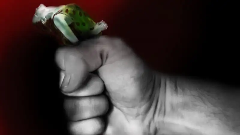 Турция может выйти из Стамбульской конвенции по защите женщин