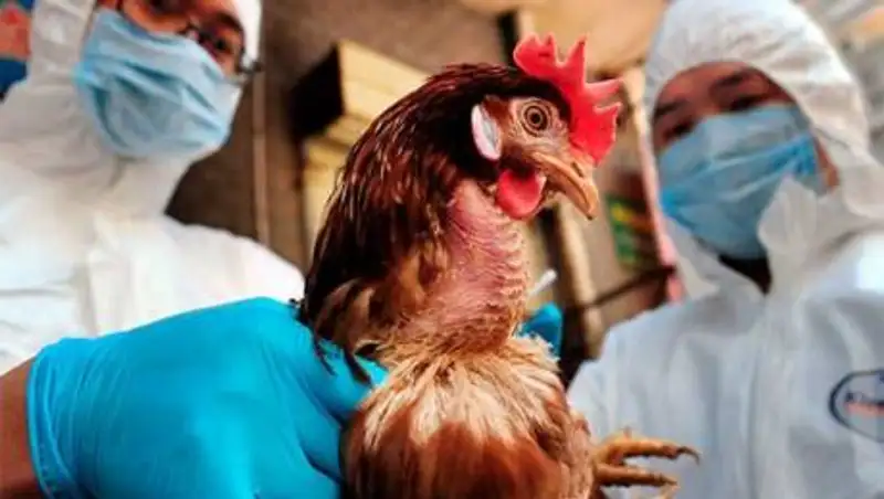 Токаев высказал претензии Минсельхозу