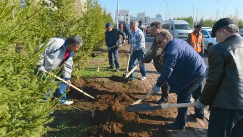 Сенаторы приняли участие в общегородском субботнике