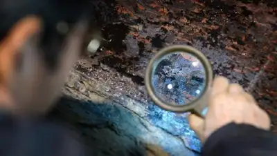 Zakon.kz, фото - Новости Zakon.kz от 03.07.2017 15:26