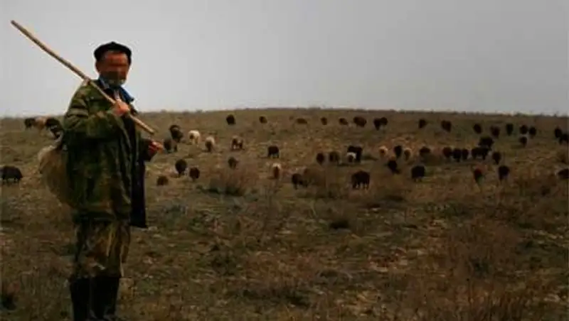 Алматинца больше двух месяцев держали в рабстве в Актюбинской области