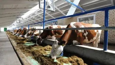 пресс-служба, фото - Новости Zakon.kz от 26.02.2021 12:16