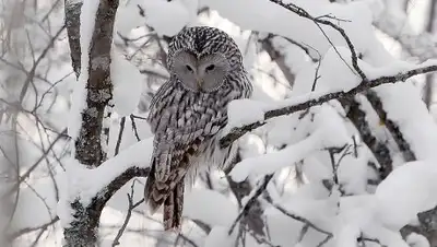 Zakon.kz, фото - Новости Zakon.kz от 20.10.2016 12:15