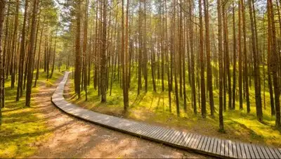 Zakon.kz, фото - Новости Zakon.kz от 14.11.2017 19:34