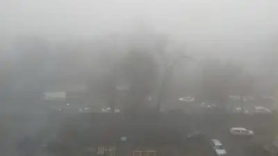 Туман накрыл Алматы