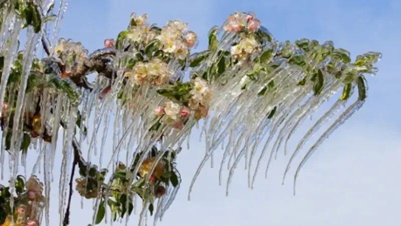 До 35 градусов мороза ожидается сегодня в нескольких областях страны