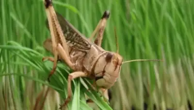 Zakon.kz, фото - Новости Zakon.kz от 08.06.2015 12:52