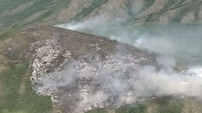 В горах Восточного Казахстана тушат сильный пожар