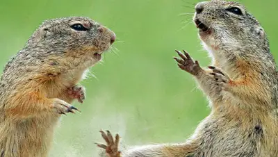 inalmaty.kz, фото - Новости Zakon.kz от 11.11.2019 14:53