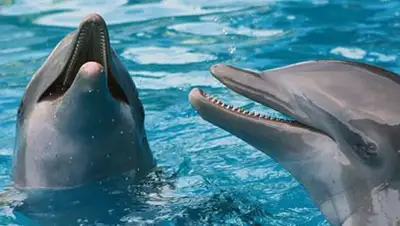 Zakon.kz, фото - Новости Zakon.kz от 13.09.2014 00:14