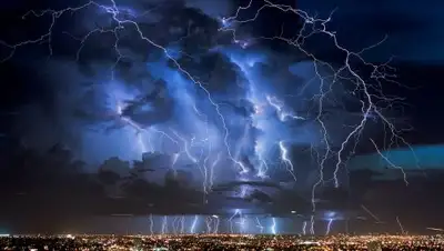 w-dog.ru, фото - Новости Zakon.kz от 23.08.2018 14:14