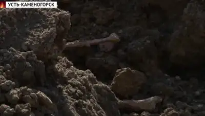 YouTube, фото - Новости Zakon.kz от 02.04.2019 23:00